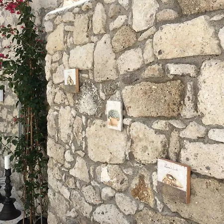 Hotel Motto Wind Boutique 3*